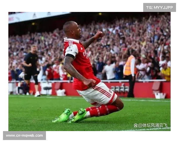 阿森纳防守体系成熟，拉亚5场零封成欧冠最佳门将